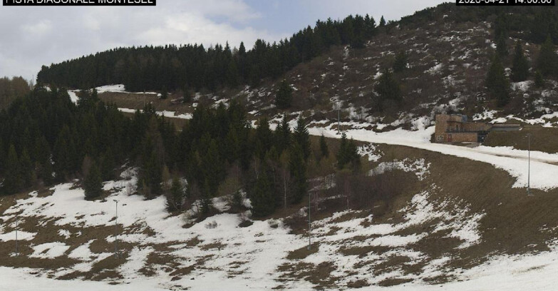 Webcam Monte Bondone - Bondone Diagonale Montesel