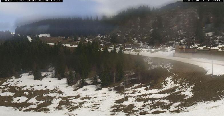 Webcam Monte Bondone - Bondone Diagonale Montesel