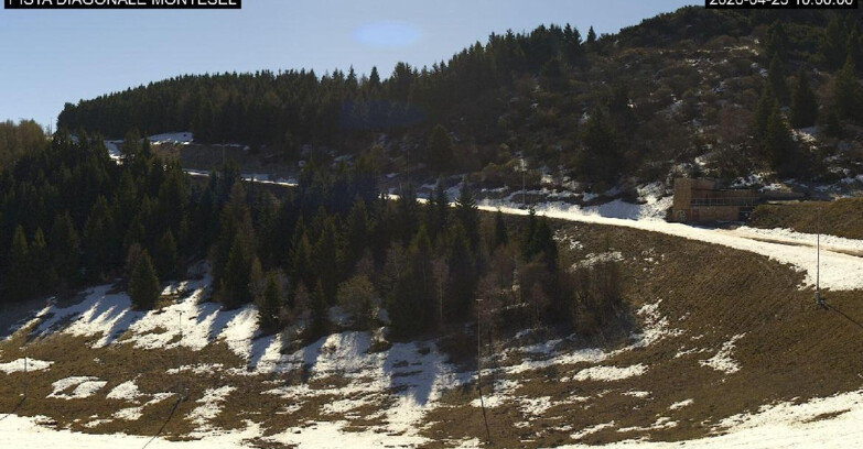 Webcam Monte Bondone - Bondone Diagonale Montesel