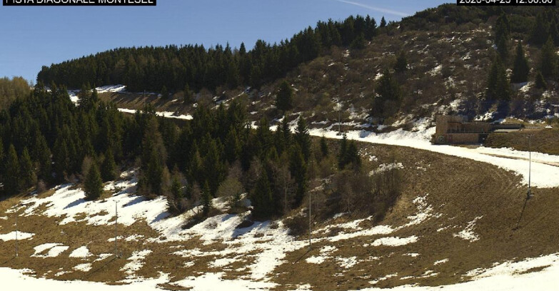 Webcam Monte Bondone - Bondone Diagonale Montesel
