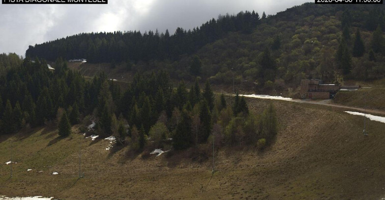 Webcam Monte Bondone - Bondone Diagonale Montesel