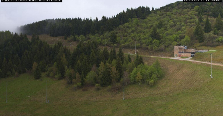 Webcam Monte Bondone - Bondone Diagonale Montesel