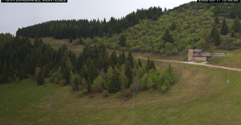 Webcam Monte Bondone - Bondone Diagonale Montesel
