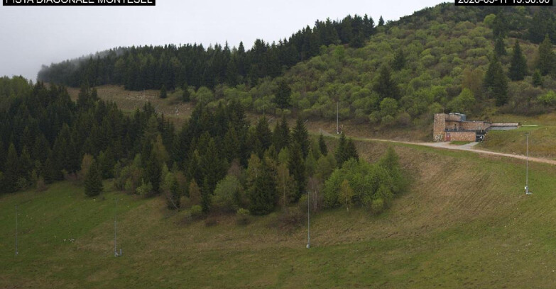 Webcam Monte Bondone - Bondone Diagonale Montesel