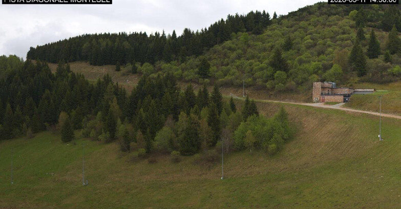 Webcam Монте-Бондоне  - Bondone Diagonale Montesel
