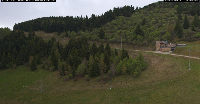 Webcam Monte Bondone - Bondone Diagonale Montesel
