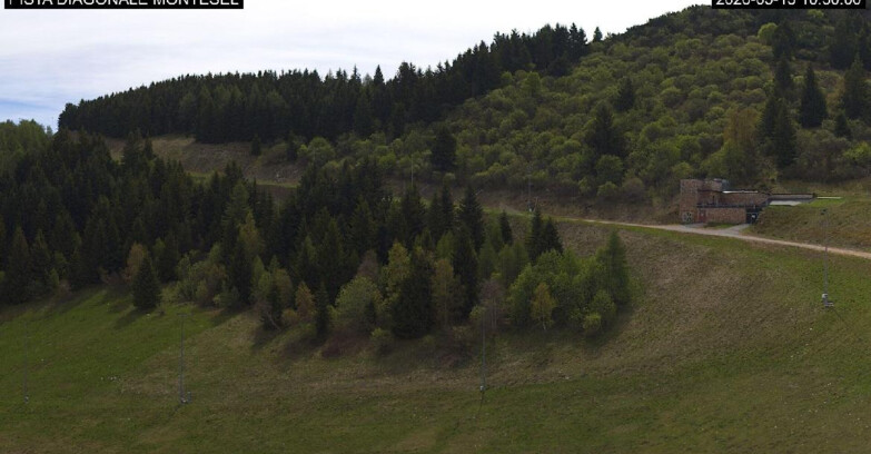 Webcam Monte Bondone - Bondone Diagonale Montesel