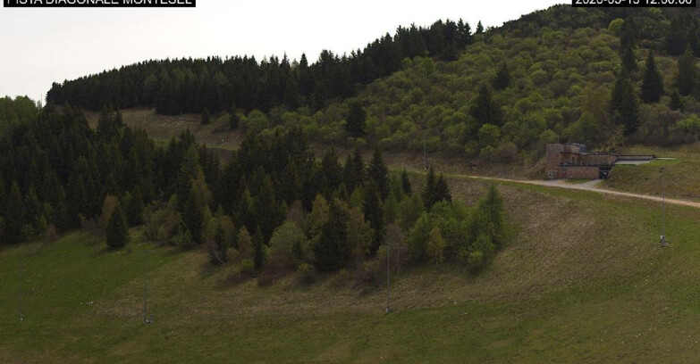 Webcam Monte Bondone - Bondone Diagonale Montesel
