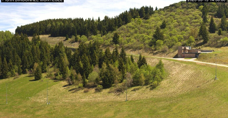 Webcam Monte Bondone - Bondone Diagonale Montesel