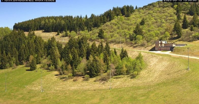 Webcam Monte Bondone - Bondone Diagonale Montesel