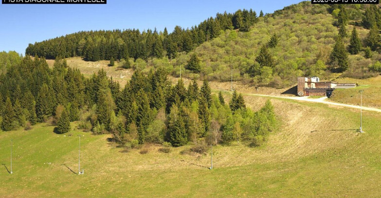 Webcam Monte Bondone - Bondone Diagonale Montesel