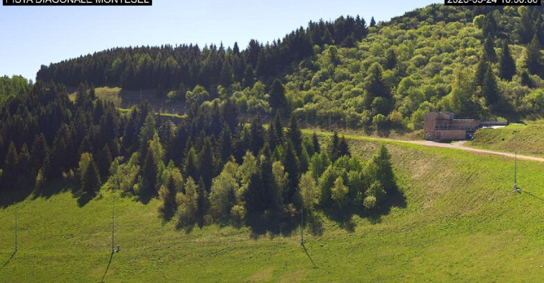 Webcam Monte Bondone - Bondone Diagonale Montesel