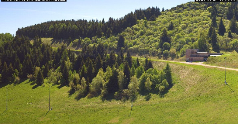 Webcam Monte Bondone - Bondone Diagonale Montesel