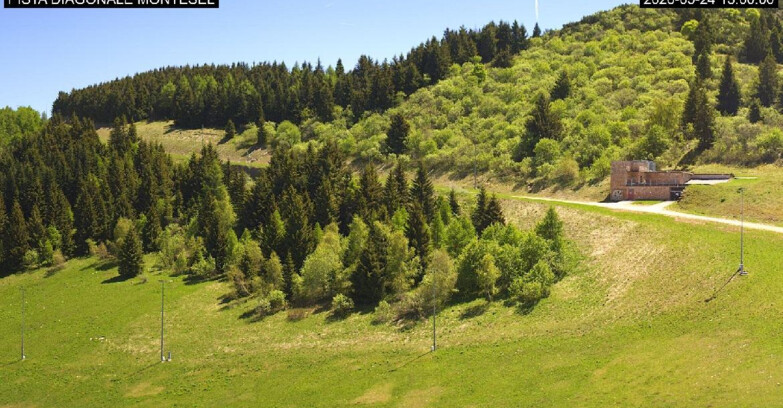 Webcam Monte Bondone - Bondone Diagonale Montesel