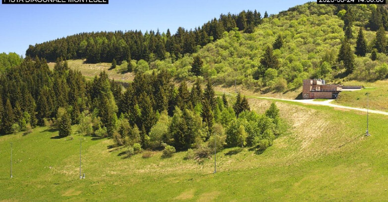 Webcam Monte Bondone - Bondone Diagonale Montesel