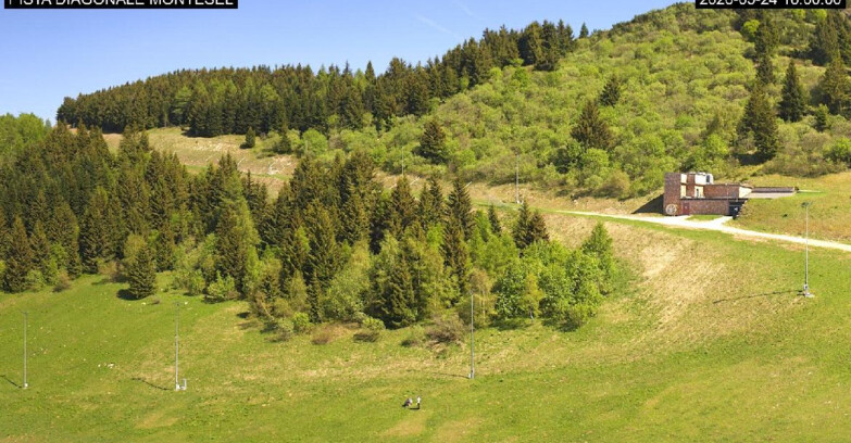 Webcam Monte Bondone - Bondone Diagonale Montesel
