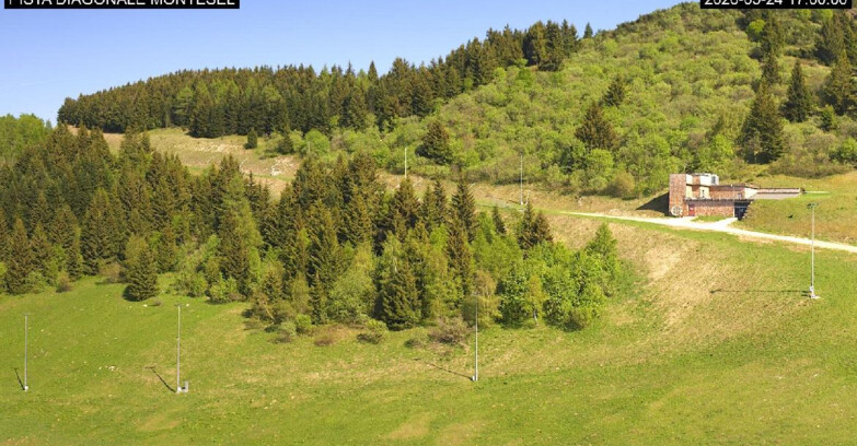Webcam Monte Bondone - Bondone Diagonale Montesel
