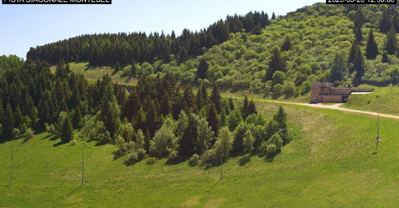 Webcam Monte Bondone - Bondone Diagonale Montesel