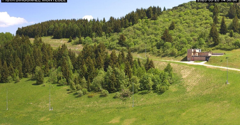 Webcam Monte Bondone - Bondone Diagonale Montesel