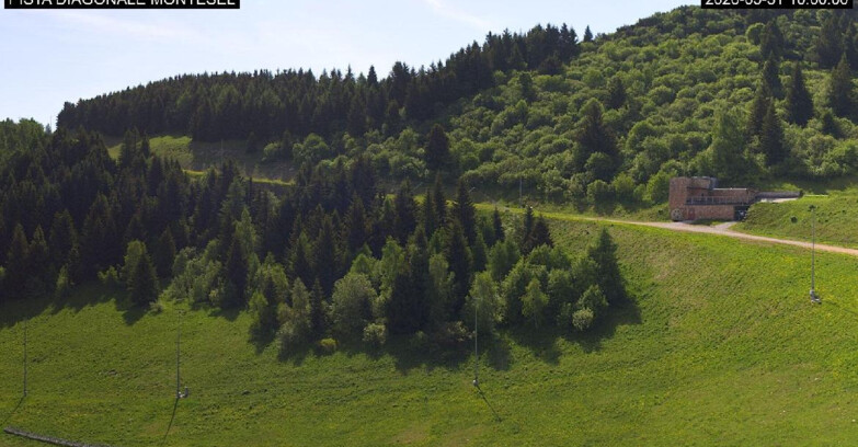Webcam Monte Bondone - Bondone Diagonale Montesel