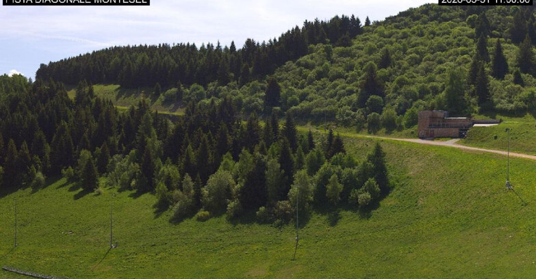Webcam Monte Bondone - Bondone Diagonale Montesel