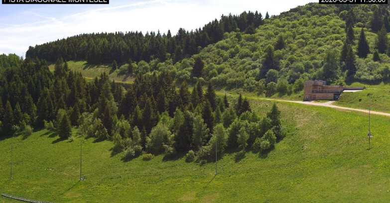 Webcam Monte Bondone - Bondone Diagonale Montesel