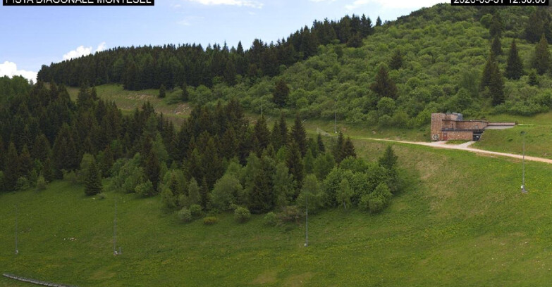Webcam Monte Bondone - Bondone Diagonale Montesel