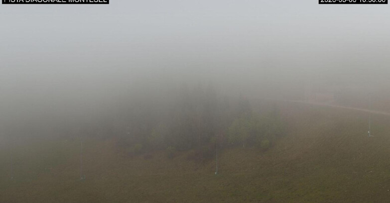Webcam Monte Bondone - Bondone Diagonale Montesel
