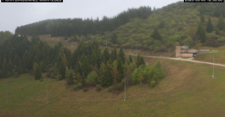 Webcam Monte Bondone - Bondone Diagonale Montesel