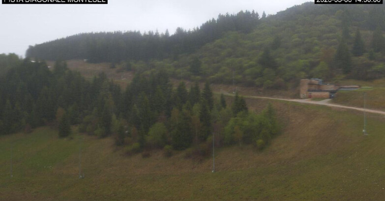 Webcam Monte Bondone - Bondone Diagonale Montesel