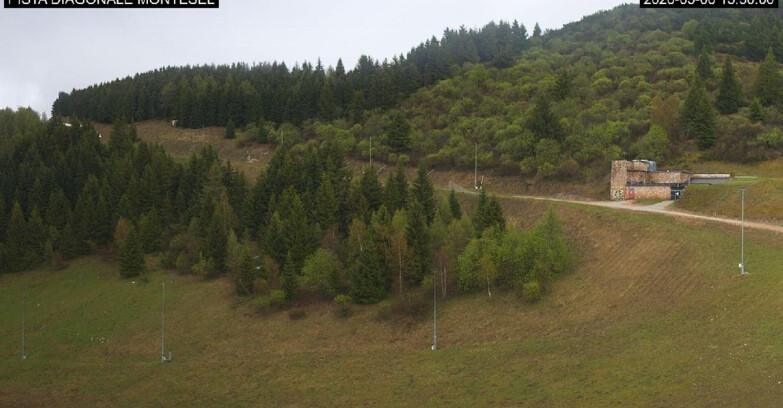 Webcam Monte Bondone - Bondone Diagonale Montesel