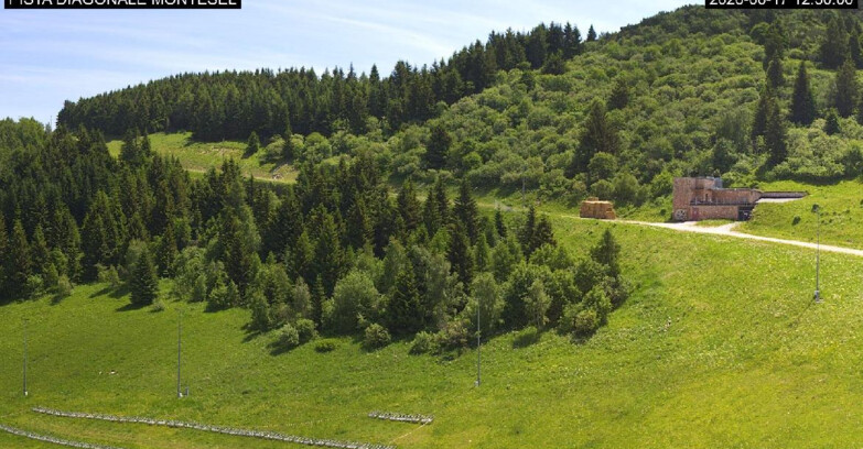 Webcam Monte Bondone - Bondone Diagonale Montesel