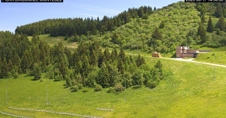 Webcam Monte Bondone - Bondone Diagonale Montesel