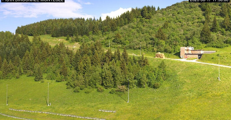 Webcam Monte Bondone - Bondone Diagonale Montesel