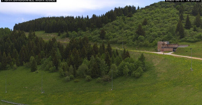 Webcam Monte Bondone - Bondone Diagonale Montesel
