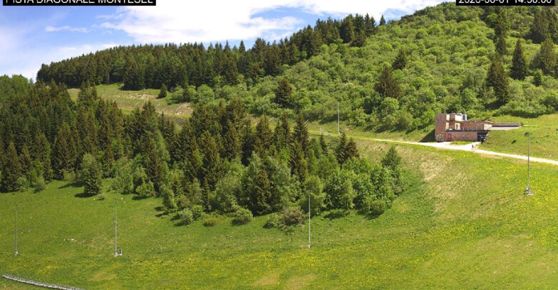 Webcam Monte Bondone - Bondone Diagonale Montesel
