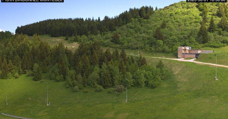 Webcam Monte Bondone - Bondone Diagonale Montesel
