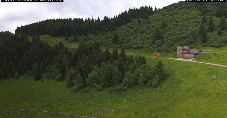 Webcam Monte Bondone - Bondone Diagonale Montesel