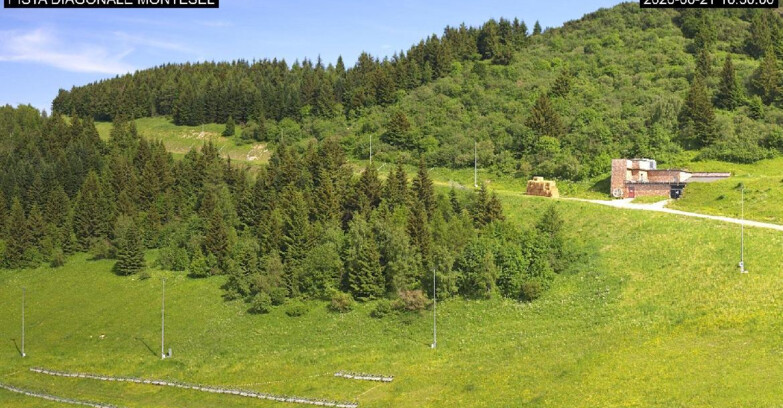 Webcam Monte Bondone - Bondone Diagonale Montesel