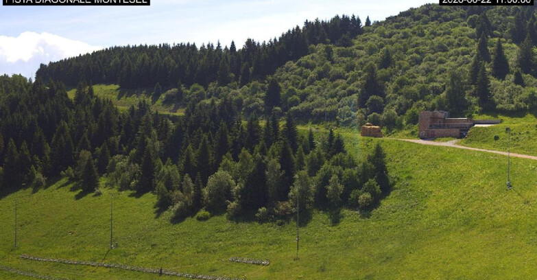 Webcam Monte Bondone - Bondone Diagonale Montesel