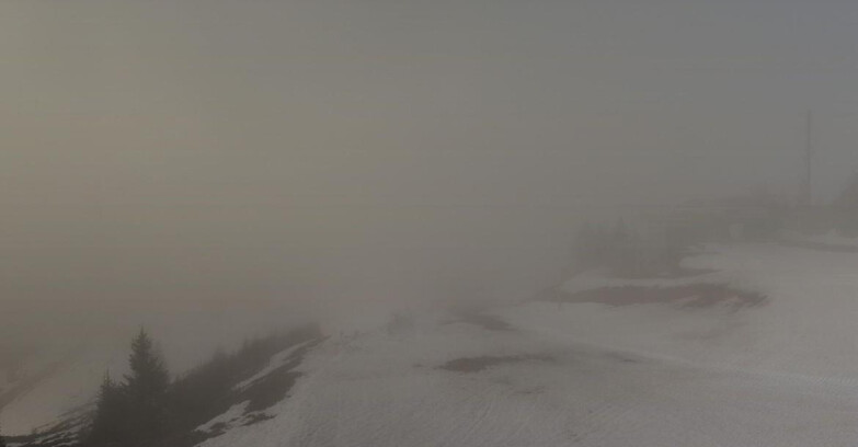 Webcam Skiarea Campiglio Dolomiti di Brenta Val di Sole Val Rendena - Seggiovia Malghette 