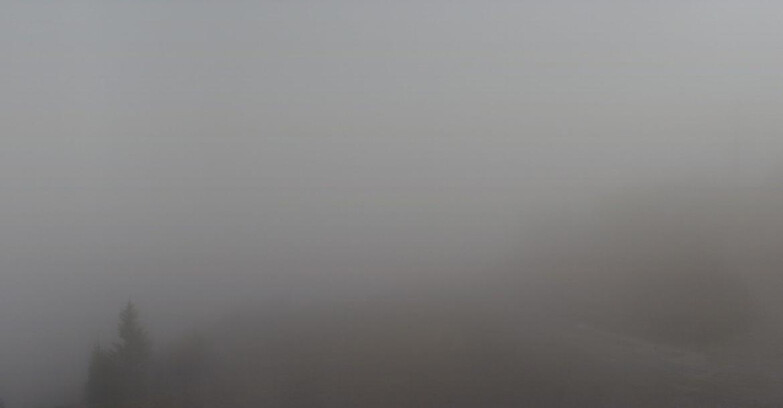 Webcam Skiarea Campiglio Dolomiti di Brenta Val di Sole Val Rendena - Seggiovia Malghette 