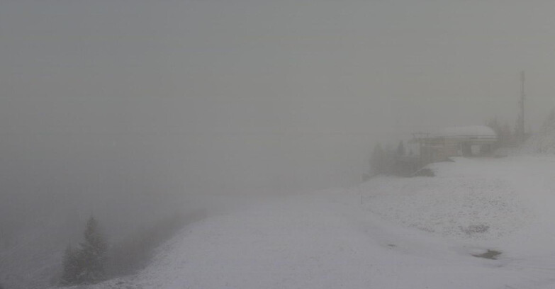 Webcam Folgarida-Marilleva  (Skiarea Campiglio Dolomiti di Brenta - Val di Sole Val Rendena) - Seggiovia Malghette 