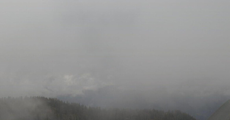 Webcam Skiarea Campiglio Dolomiti di Brenta Val di Sole Val Rendena - Gruppo Ortles Cevedale 
