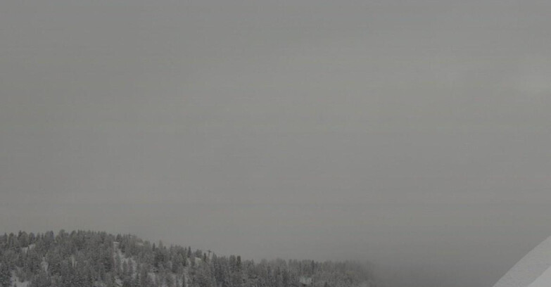 Webcam Ski area Campiglio Dolomiti di Brenta Val di Sole Val Rendena - Gruppo Ortles Cevedale 