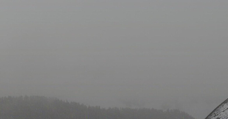 Webcam Skiarea Campiglio Dolomiti di Brenta Val di Sole Val Rendena - Gruppo Ortles Cevedale 