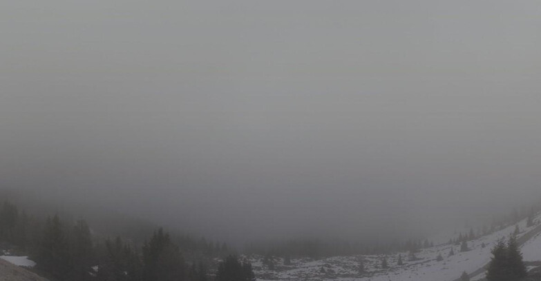 Webcam Skiarea Campiglio Dolomiti di Brenta Val di Sole Val Rendena - Dolomiti di Brenta - Marilleva