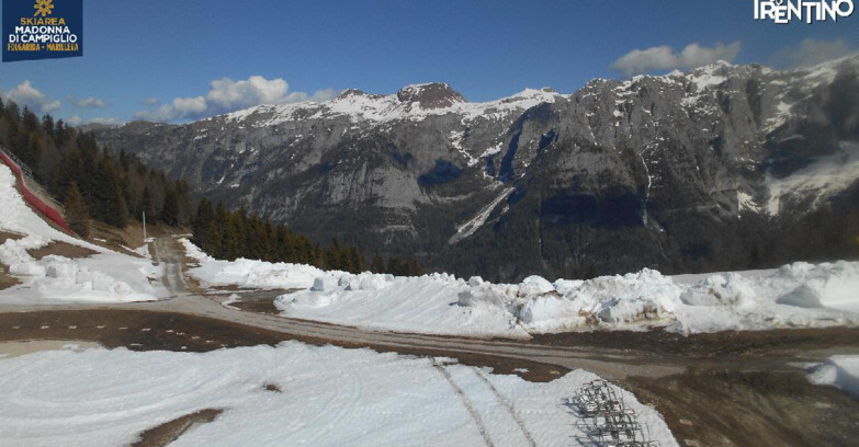 Webcam Skiarea Campiglio Dolomiti di Brenta Val di Sole Val Rendena - Pista delle Rocce - Folgarida