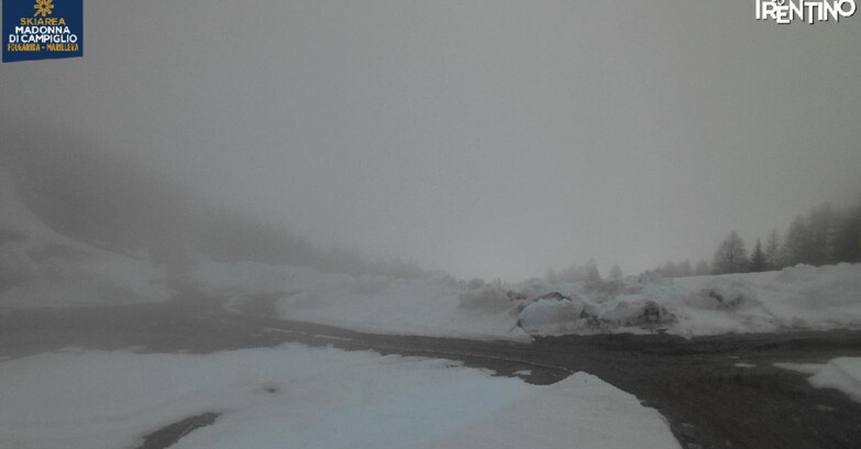 Webcam Skiarea Campiglio Dolomiti di Brenta Val di Sole Val Rendena - Pista delle Rocce - Folgarida