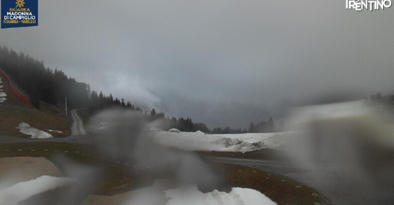 Webcam Skiarea Campiglio Dolomiti di Brenta Val di Sole Val Rendena - Pista delle Rocce - Folgarida